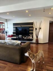 Blk 552 Jurong West Street 42 (Jurong West), HDB 5 Rooms #599630971
